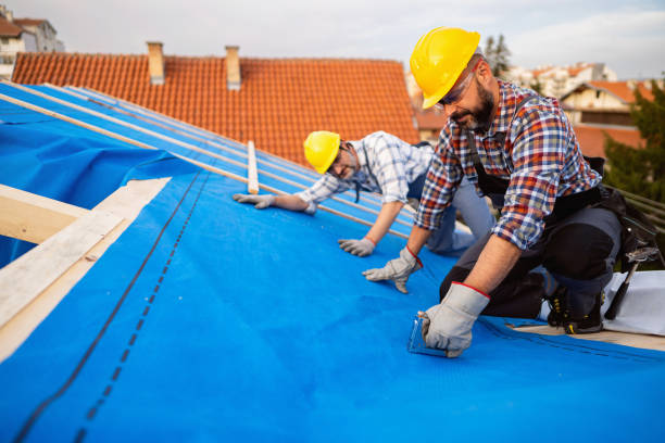 Best Roof Insulation Installation  in Twin Lake, MI