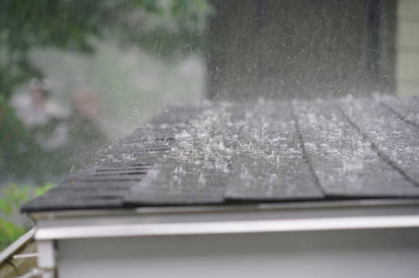 Best Roof Maintenance and Cleaning  in Twin Lake, MI