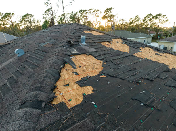 Best Roof Ventilation Installation  in Twin Lake, MI