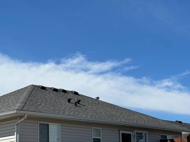 Best Roof Coating and Sealing  in Twin Lake, MI